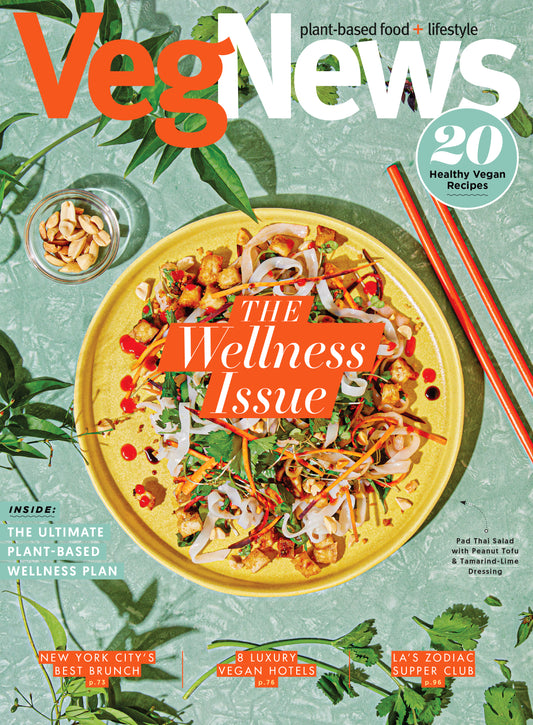 The 2020 Wellness Issue (#121)